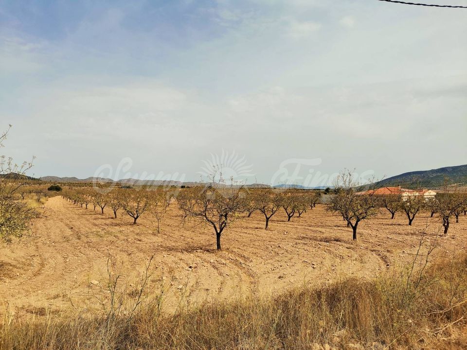 Helårsgrund i Raspay, Murcia - foto 1